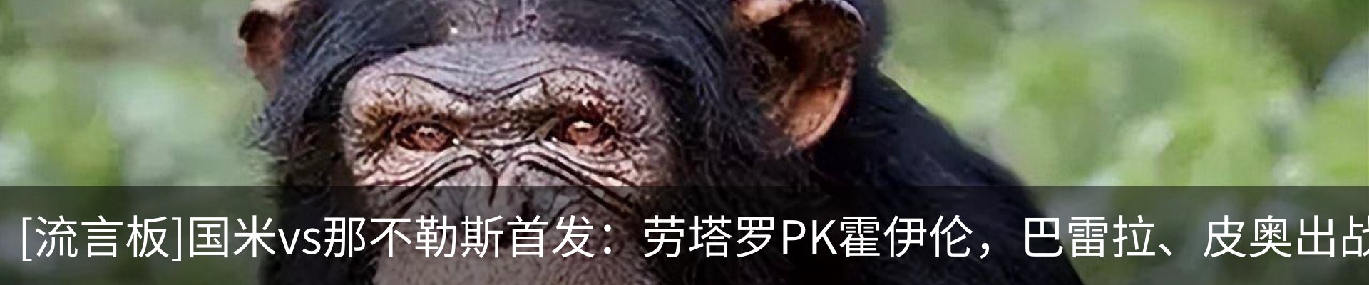 资讯动态